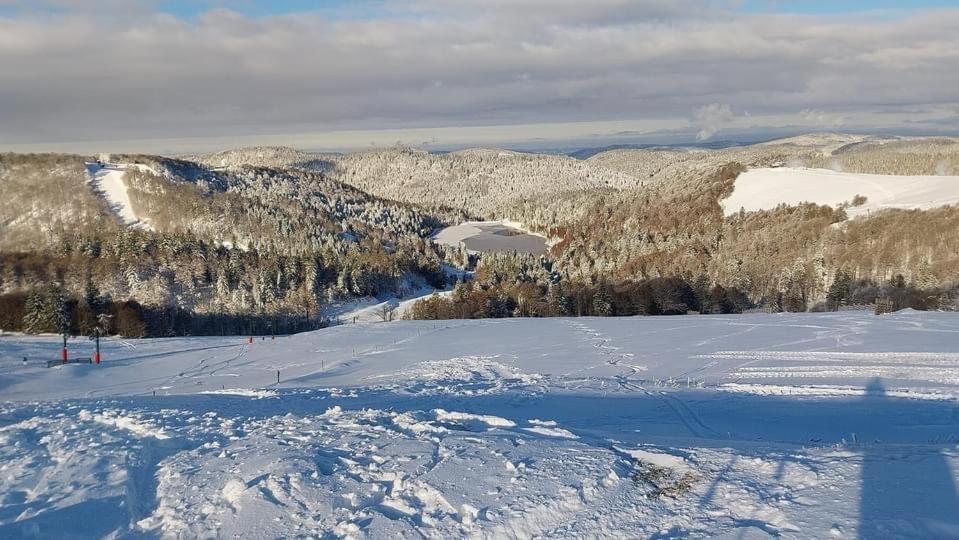 Grand'Roche Lejlighed Cornimont Eksteriør billede